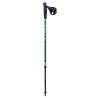 Masters Training Pole