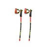 LEKI WCR TBS GS 3D POLE