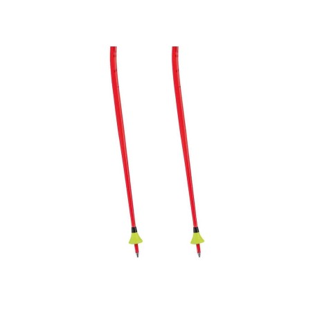 LEKI WCR TBS GS 3D POLE