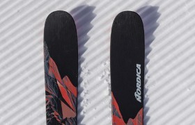 skis